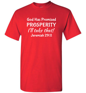 I'll Take That Prosperity (Jeremiah 29:11),  Adult T-Shirt, 12 Colors